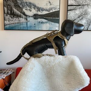 Medium dog harness with clips and detachable patches never warm NWOT no damage